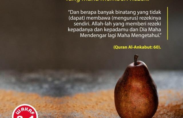 Ar-Razzaq Al-Huda