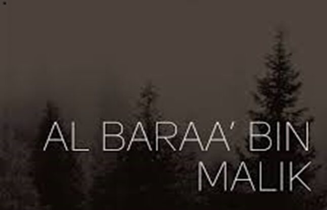 Gambar. Al-Barro bin Malik - www.alhudapeduli.com